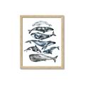 Picture of Fish Pattern _GroupedProduct_Rectangle_Portrait_Mini_ _GroupedProduct_Rectangle_Portrait_Framed_Matted_