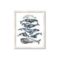Picture of Fish Pattern _GroupedProduct_Rectangle_Portrait_Mini_ _GroupedProduct_Rectangle_Portrait_Framed_Matted_