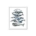 Picture of Fish Pattern _GroupedProduct_Rectangle_Portrait_Mini_ _GroupedProduct_Rectangle_Portrait_Framed_Matted_