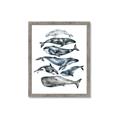 Picture of Fish Pattern _GroupedProduct_Rectangle_Portrait_Mini_ _GroupedProduct_Rectangle_Portrait_Framed_Matted_
