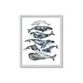 Picture of Fish Pattern _GroupedProduct_Rectangle_Portrait_Mini_ _GroupedProduct_Rectangle_Portrait_Framed_Matted_