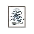 Picture of Fish Pattern _GroupedProduct_Rectangle_Portrait_Mini_ _GroupedProduct_Rectangle_Portrait_Framed_Matted_