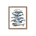 Picture of Fish Pattern _GroupedProduct_Rectangle_Portrait_Mini_ _GroupedProduct_Rectangle_Portrait_Framed_Matted_