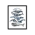 Picture of Fish Pattern _GroupedProduct_Rectangle_Portrait_Mini_ _GroupedProduct_Rectangle_Portrait_Framed_Matted_