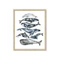 Picture of Fish Pattern _GroupedProduct_Rectangle_Portrait_Mini_ _GroupedProduct_Rectangle_Portrait_Framed_Matted_