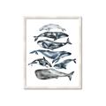 Picture of Fish Pattern _GroupedProduct_Rectangle_Portrait_Mini_ _GroupedProduct_Rectangle_Portrait_Framed_Matted_