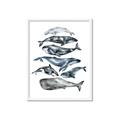 Picture of Fish Pattern _GroupedProduct_Rectangle_Portrait_Mini_ _GroupedProduct_Rectangle_Portrait_Framed_Matted_