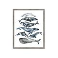 Picture of Fish Pattern _GroupedProduct_Rectangle_Portrait_Mini_ _GroupedProduct_Rectangle_Portrait_Framed_Matted_