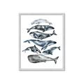 Picture of Fish Pattern _GroupedProduct_Rectangle_Portrait_Mini_ _GroupedProduct_Rectangle_Portrait_Framed_Matted_