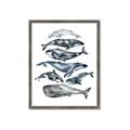 Picture of Fish Pattern _GroupedProduct_Rectangle_Portrait_Mini_ _GroupedProduct_Rectangle_Portrait_Framed_Matted_