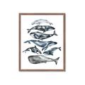 Picture of Fish Pattern _GroupedProduct_Rectangle_Portrait_Mini_ _GroupedProduct_Rectangle_Portrait_Framed_Matted_