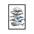 Picture of Fish Pattern _GroupedProduct_Rectangle_Portrait_Mini_ _GroupedProduct_Rectangle_Portrait_Framed_Matted_
