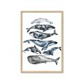 Picture of Fish Pattern _GroupedProduct_Rectangle_Portrait_Mini_ _GroupedProduct_Rectangle_Portrait_Framed_Matted_