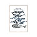 Picture of Fish Pattern _GroupedProduct_Rectangle_Portrait_Mini_ _GroupedProduct_Rectangle_Portrait_Framed_Matted_