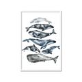 Picture of Fish Pattern _GroupedProduct_Rectangle_Portrait_Mini_ _GroupedProduct_Rectangle_Portrait_Framed_Matted_