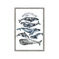 Picture of Fish Pattern _GroupedProduct_Rectangle_Portrait_Mini_ _GroupedProduct_Rectangle_Portrait_Framed_Matted_