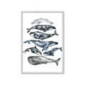Picture of Fish Pattern _GroupedProduct_Rectangle_Portrait_Mini_ _GroupedProduct_Rectangle_Portrait_Framed_Matted_