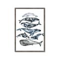 Picture of Fish Pattern _GroupedProduct_Rectangle_Portrait_Mini_ _GroupedProduct_Rectangle_Portrait_Framed_Matted_