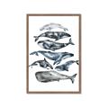 Picture of Fish Pattern _GroupedProduct_Rectangle_Portrait_Mini_ _GroupedProduct_Rectangle_Portrait_Framed_Matted_