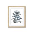Picture of Fish Pattern _GroupedProduct_Rectangle_Portrait_Mini_ _GroupedProduct_Rectangle_Portrait_Framed_Matted_