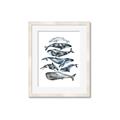 Picture of Fish Pattern _GroupedProduct_Rectangle_Portrait_Mini_ _GroupedProduct_Rectangle_Portrait_Framed_Matted_
