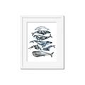 Picture of Fish Pattern _GroupedProduct_Rectangle_Portrait_Mini_ _GroupedProduct_Rectangle_Portrait_Framed_Matted_