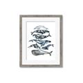 Picture of Fish Pattern _GroupedProduct_Rectangle_Portrait_Mini_ _GroupedProduct_Rectangle_Portrait_Framed_Matted_