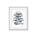 Picture of Fish Pattern _GroupedProduct_Rectangle_Portrait_Mini_ _GroupedProduct_Rectangle_Portrait_Framed_Matted_