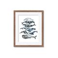 Picture of Fish Pattern _GroupedProduct_Rectangle_Portrait_Mini_ _GroupedProduct_Rectangle_Portrait_Framed_Matted_