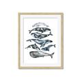 Picture of Fish Pattern _GroupedProduct_Rectangle_Portrait_Mini_ _GroupedProduct_Rectangle_Portrait_Framed_Matted_