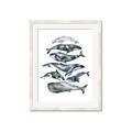 Picture of Fish Pattern _GroupedProduct_Rectangle_Portrait_Mini_ _GroupedProduct_Rectangle_Portrait_Framed_Matted_