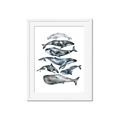 Picture of Fish Pattern _GroupedProduct_Rectangle_Portrait_Mini_ _GroupedProduct_Rectangle_Portrait_Framed_Matted_