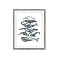 Picture of Fish Pattern _GroupedProduct_Rectangle_Portrait_Mini_ _GroupedProduct_Rectangle_Portrait_Framed_Matted_