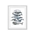 Picture of Fish Pattern _GroupedProduct_Rectangle_Portrait_Mini_ _GroupedProduct_Rectangle_Portrait_Framed_Matted_