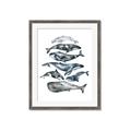 Picture of Fish Pattern _GroupedProduct_Rectangle_Portrait_Mini_ _GroupedProduct_Rectangle_Portrait_Framed_Matted_