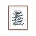 Picture of Fish Pattern _GroupedProduct_Rectangle_Portrait_Mini_ _GroupedProduct_Rectangle_Portrait_Framed_Matted_