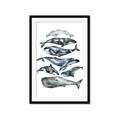 Picture of Fish Pattern _GroupedProduct_Rectangle_Portrait_Mini_ _GroupedProduct_Rectangle_Portrait_Framed_Matted_