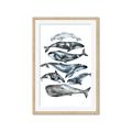 Picture of Fish Pattern _GroupedProduct_Rectangle_Portrait_Mini_ _GroupedProduct_Rectangle_Portrait_Framed_Matted_