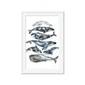 Picture of Fish Pattern _GroupedProduct_Rectangle_Portrait_Mini_ _GroupedProduct_Rectangle_Portrait_Framed_Matted_