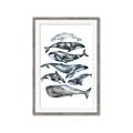 Picture of Fish Pattern _GroupedProduct_Rectangle_Portrait_Mini_ _GroupedProduct_Rectangle_Portrait_Framed_Matted_