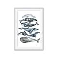 Picture of Fish Pattern _GroupedProduct_Rectangle_Portrait_Mini_ _GroupedProduct_Rectangle_Portrait_Framed_Matted_