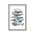 Picture of Fish Pattern _GroupedProduct_Rectangle_Portrait_Mini_ _GroupedProduct_Rectangle_Portrait_Framed_Matted_