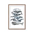 Picture of Fish Pattern _GroupedProduct_Rectangle_Portrait_Mini_ _GroupedProduct_Rectangle_Portrait_Framed_Matted_