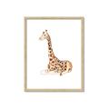Picture of Cute Baby Giraffe _GroupedProduct_Rectangle_Portrait_Mini_ _GroupedProduct_Rectangle_Portrait_Framed_Matted_