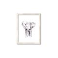 Picture of Cute Baby Elephant _GroupedProduct_Rectangle_Portrait_Mini_ _GroupedProduct_Rectangle_Portrait_Framed_Matted_