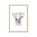 Picture of Cute Baby Elephant _GroupedProduct_Rectangle_Portrait_Mini_ _GroupedProduct_Rectangle_Portrait_Framed_Matted_