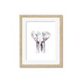 Picture of Cute Baby Elephant _GroupedProduct_Rectangle_Portrait_Mini_ _GroupedProduct_Rectangle_Portrait_Framed_Matted_