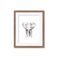 Picture of Cute Baby Elephant _GroupedProduct_Rectangle_Portrait_Mini_ _GroupedProduct_Rectangle_Portrait_Framed_Matted_