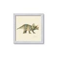 Picture of Triceratops _GroupedProduct_Square_Mini_ _GroupedProduct_Square_Framed_Matted_