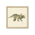 Picture of Triceratops _GroupedProduct_Square_Mini_ _GroupedProduct_Square_Framed_Matted_